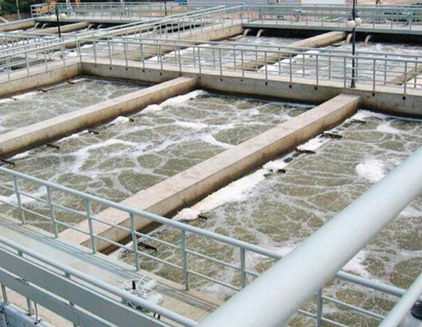 50吨/天 食品加工厂废水处理工程